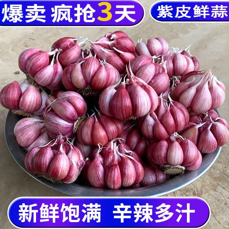 2021年云南紫皮红干大蒜头多瓣香蒜子红蒜土香蒜