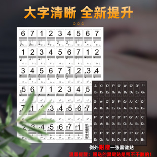 钢琴电子琴键盘贴纸88/61/54键儿童成人自学五线谱简谱无胶静电