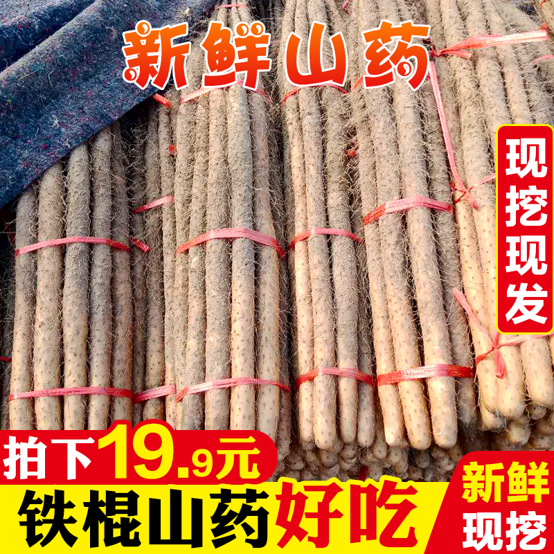 Iron Yam Fresh 5 Henan Jiaozuo White Chinese yam Iron rod Yam Season Season Vegetablesin the Aquatic meat/Fresh fruits and vegetables/Cooked , Fresh vegetables/Vegetable products , Fresh vegetables , Fresh yam category - from Buy2taobao.com to provide professional Taobao agent buy service