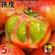 铁皮草莓柿子5斤应当季新鲜西红柿生吃水果碱地盘锦绿腚番茄蔬菜