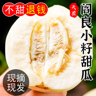 陕西阎良甜瓜9斤新鲜头茬当季水果白皮小香瓜蜜瓜密瓜整箱包邮10