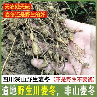 四川麦冬野生中草药材干货250g500克特级无硫正品麦门冬玉竹茶汤