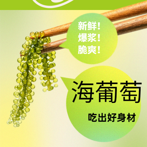 愛尚港鹽漬新鮮海葡萄泡發即食綠色魚子醬網紅長壽海藻送蘸料在類目 水產肉類/新鮮蔬果/熟食, 海鮮/水產品/製品, 藻類, 海葡萄中 - 來自Buy2taobao.com提供專業的淘寶代購服務