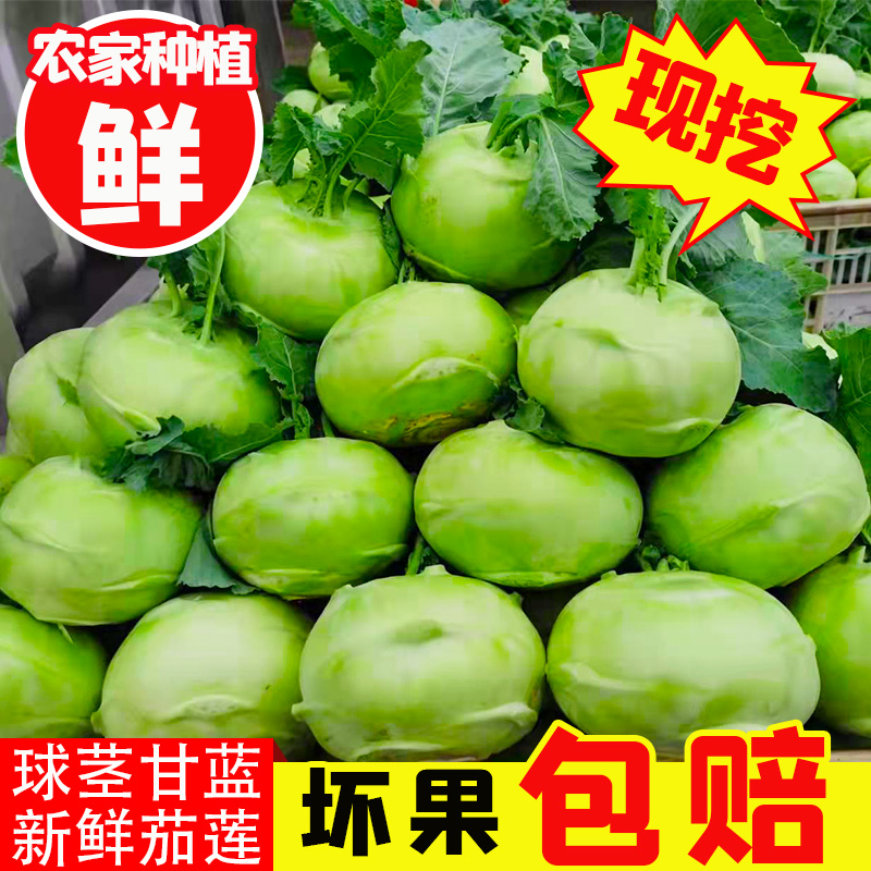 fresh Kohlrabi knot Kohlrabi Farm Cabbage Serve a meal Mustard green Vegetablesin the Aquatic meat/Fresh fruits and vegetables/Cooked , Fresh vegetables/Vegetable products , Fresh vegetables , Other category - from Buy2taobao.com to provide professional Taobao agent buy service