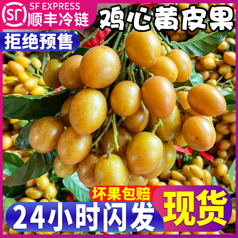 现货顺丰5斤广东鸡心黄皮果新鲜现摘