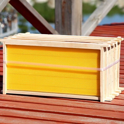 中华旺畜成品巢框装好巢础带巢框一体中意蜂巢脾蜜蜂蜂箱巢框