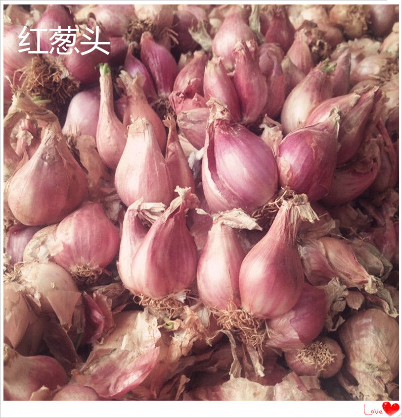 新鮮蔥頭種子小香蔥頭香蔥紅蔥頭火蔥種子應季蔬菜可榨油 2斤包郵在類目 水產肉類/新鮮蔬果/熟食, 新鮮蔬菜/蔬菜製品, 新鮮蔬菜, 其它中 - 來自Buy2taobao.com提供專業的淘寶代購服務