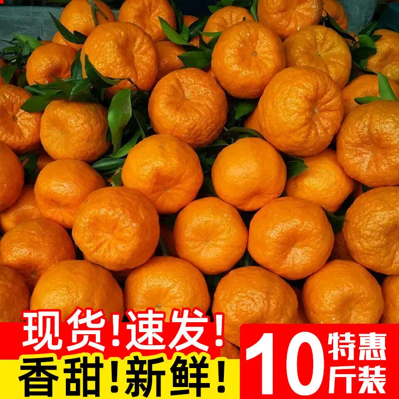 椪柑芦柑橘子桔子新鲜四川碰柑整箱当季水果丑橘永春云南10斤包邮