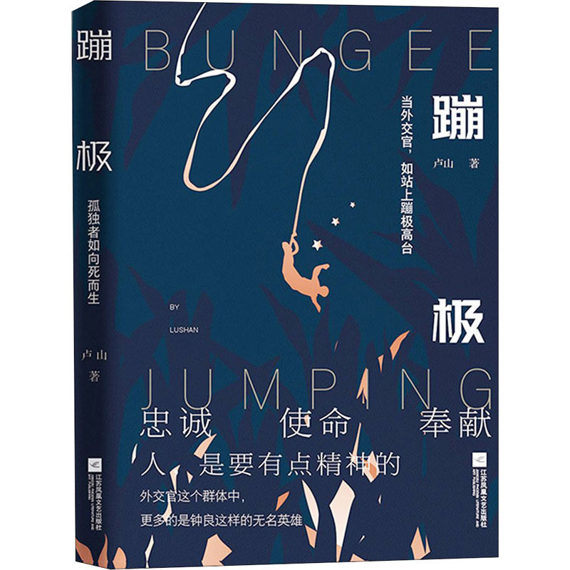 外交官蹦极赵立坚文学小说当代工作工作人员驻外同款立坚文学作品集