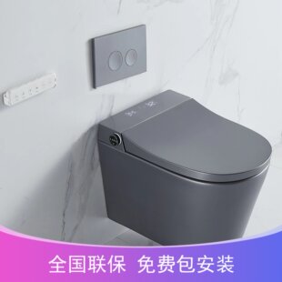 德国壁挂式智能马桶家用入墙悬挂式嵌入水箱墙排挂墙式悬空坐便器