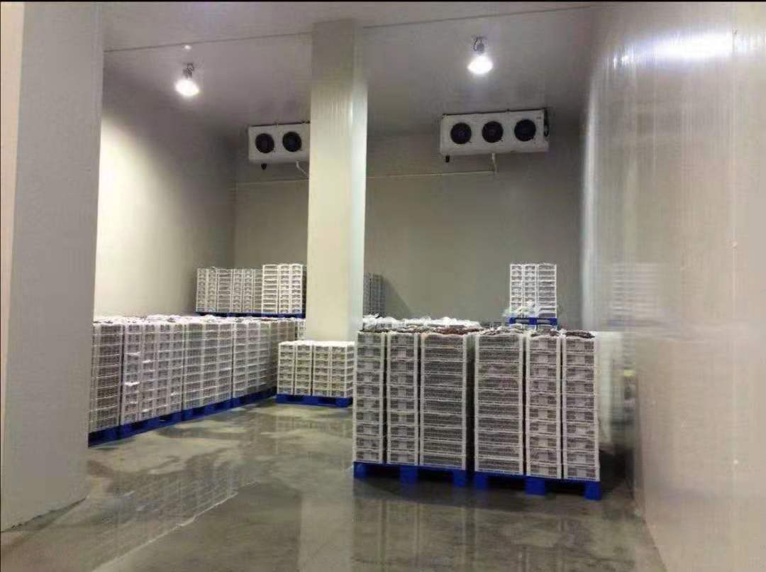 冷藏制冷茶叶冷库全套设备大中小型水果蔬菜保鲜速冻海鲜库板机组