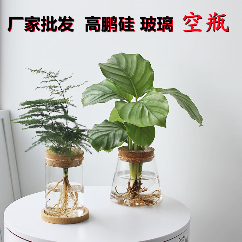 水培植物空瓶 玻璃生态瓶 桌面园艺盆办公室玻璃花瓶简约创意