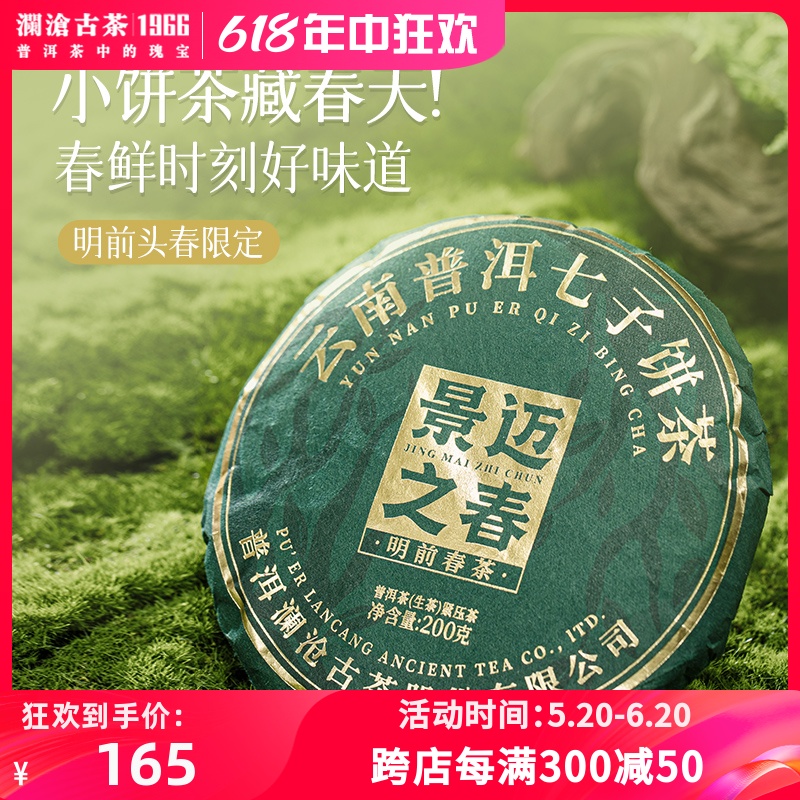 澜沧古茶2024年景迈之春云南景迈