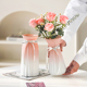 磨砂北欧玻璃插花瓶透明干花创意客厅插花水养富贵竹百合粉色摆件