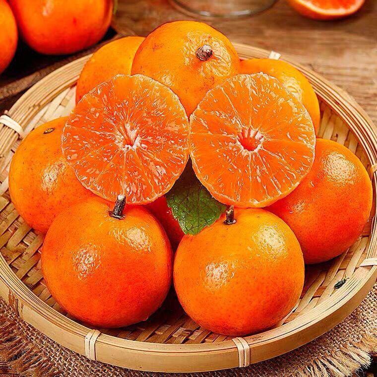 现摘现发超甜广西武鸣沃柑新鲜10斤应季水果桔子皇帝柑包邮丑橘子