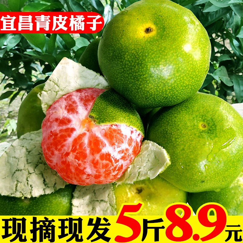 宜昌新鲜薄皮现摘青皮酸甜无籽蜜桔