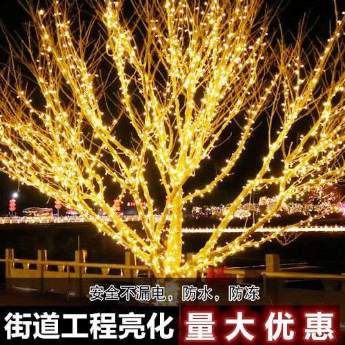 小彩灯星星灯挂树上的彩灯亮化树灯led户外防水彩灯闪灯串灯过年