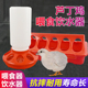芦丁鸡喂食器自动食槽鹌鹑食盆芦丁鸡用品喂水器鹦鹉下料器喂小鸡