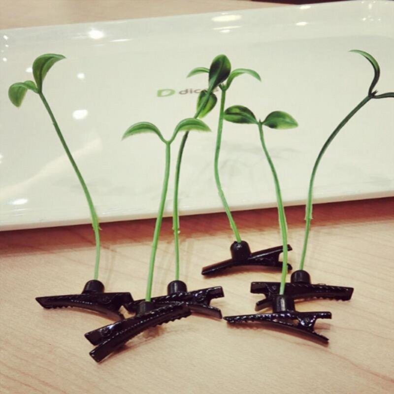 8卖萌神器小草发夹搞怪豆苗小花小豆芽头上长草发芽饰品小鸡发夹已售