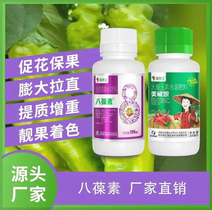 同款八葆素氨基酸叶面肥 辣椒专用肥 开花坐果拉长拉直抗病壮根防