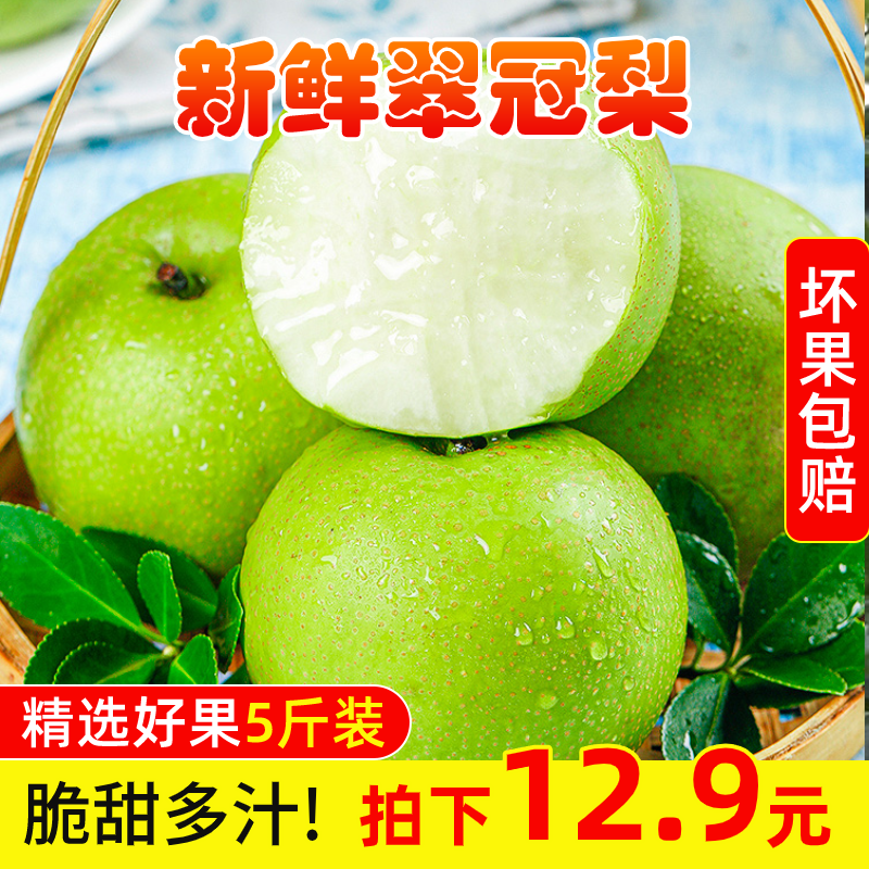新鲜5斤当季青梨子酥脆整箱翠冠梨