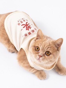 猫咪衣服夏季薄款防掉毛夏天搞怪的斯芬克斯美短英短猫背心秋季