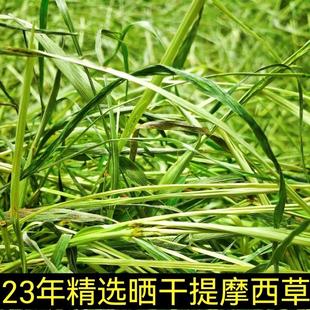 23年晒干特级提摩西草兔兔干草龙猫粮食荷兰猪饲料粮草甘肃北提草