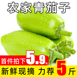 新鲜现摘青茄子河南农家绿皮大圆茄5斤当应季蔬菜可生吃茄子