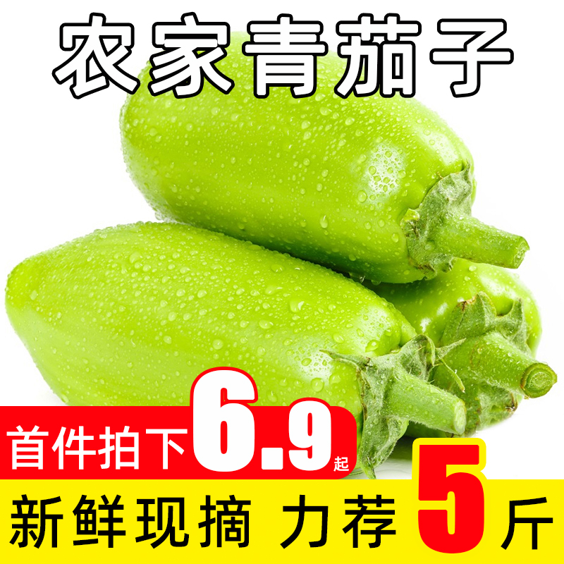 新鲜现摘青茄子河南农家绿皮大圆茄5斤当应季蔬菜可生吃茄子