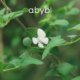 【6月新品】abyb倾听蝴蝶耳夹耳环无耳洞轻奢小众耳骨夹耳饰耳钉