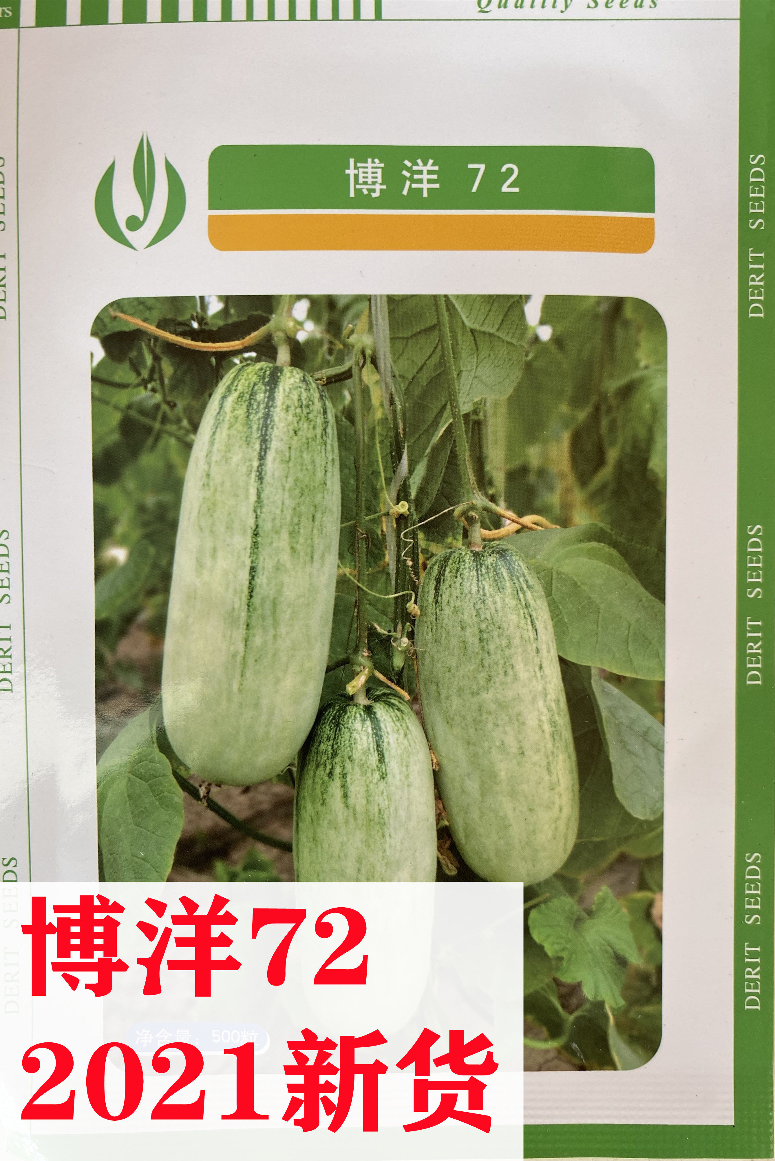 德瑞特博洋72羊角蜜甜瓜种籽孑薄皮甜脆羊角蜜香瓜种子四季春秋种