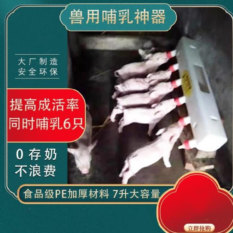 小猪奶瓶喂羊奶嘴仔猪哺乳吸奶同时大容量饮水畜牧