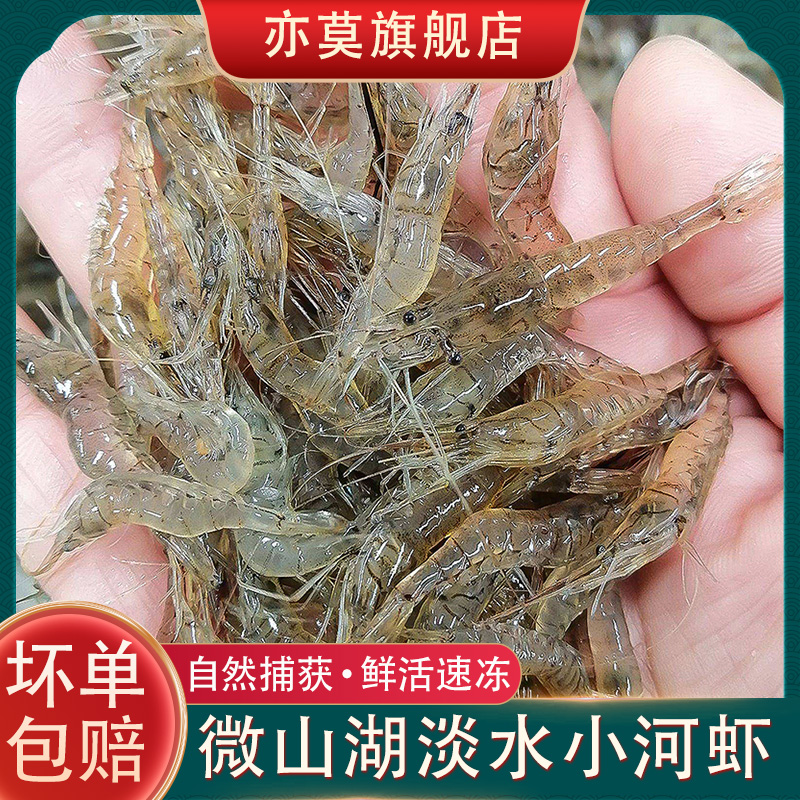 微山湖清水河虾新鲜速冻活虾冷冻鲜活