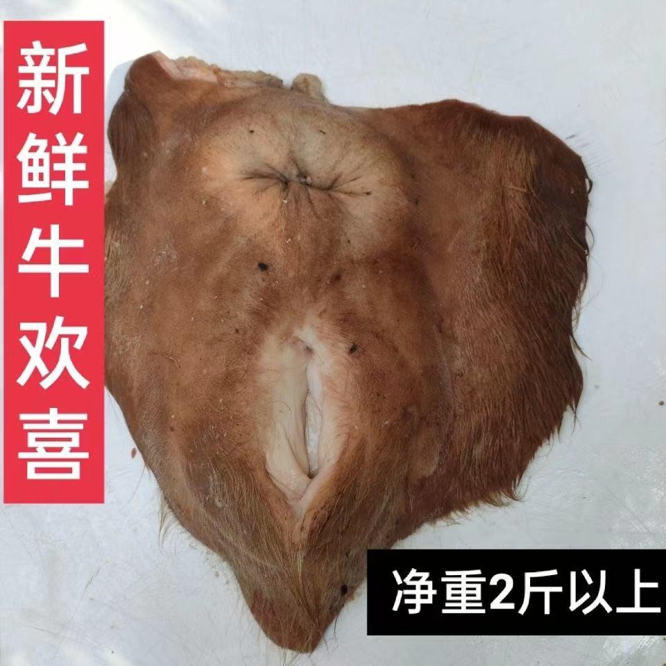 新鲜牛欢喜5斤牛外阴阴道含子宫整套牛逼胶原壮腰牛房子阴蒂刺身