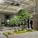 仿真迎客松黑松罗汉松绿植会所造景树中国风大型假树酒店景观装饰