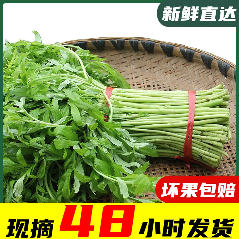 柏兔鮮生 蘆蒿新鮮籬蒿去葉黎蒿新鮮現摘蔬菜野菜藜蒿泥蒿筒蒿在類目 水產肉類/新鮮蔬果/熟食, 新鮮蔬菜/蔬菜製品, 新鮮蔬菜, 其它中 - 來自Buy2taobao.com提供專業的淘寶代購服務