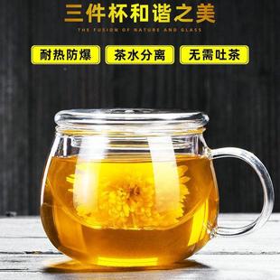 茶叶泡茶水杯 家用泡花茶透明玻璃杯 带盖带把手杯子茶水分离定制