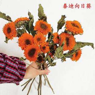 泰迪向日葵干花真花黑心向日葵客厅家装摆设真花自然风干干花花束