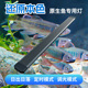 原生溪流鱼缸led灯照明灯全光谱水草灯支架灯 小型鱼缸专用灯防水