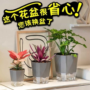 懒人花盆新款自动吸水家用客厅阳台绿萝花盆大号水培器皿塑料花盆