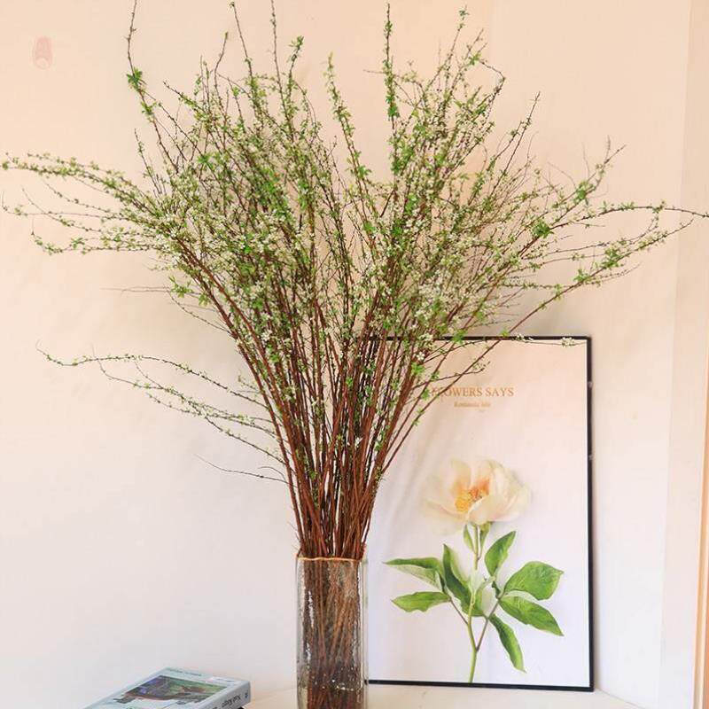 雪柳干枝干支鲜枝水培水养插水开花树苗