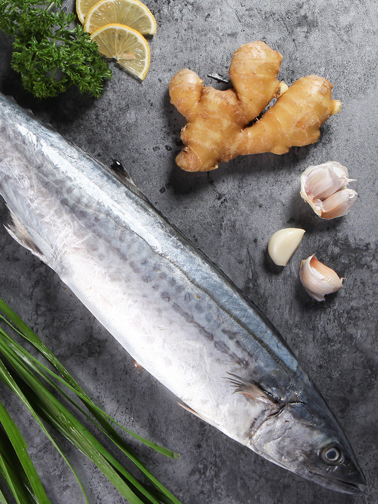 大连特产鲅鱼冷冻鲜海鱼马鲛鱼新鲜海里鱼新鲜冷冻海鲜燕鲅鱼包邮