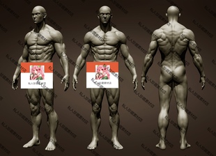 zbrush男性身体肌肉腹肌手臂头部雕刻3D模型人体解剖素模stl ztl