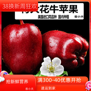 2023出口特大花牛苹果水果新鲜9斤粉面红美国进口同品种国内自产