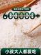 正宗猫牙米2023晚稻新米广西农家香米长粒香大米真空丝苗米5 10斤