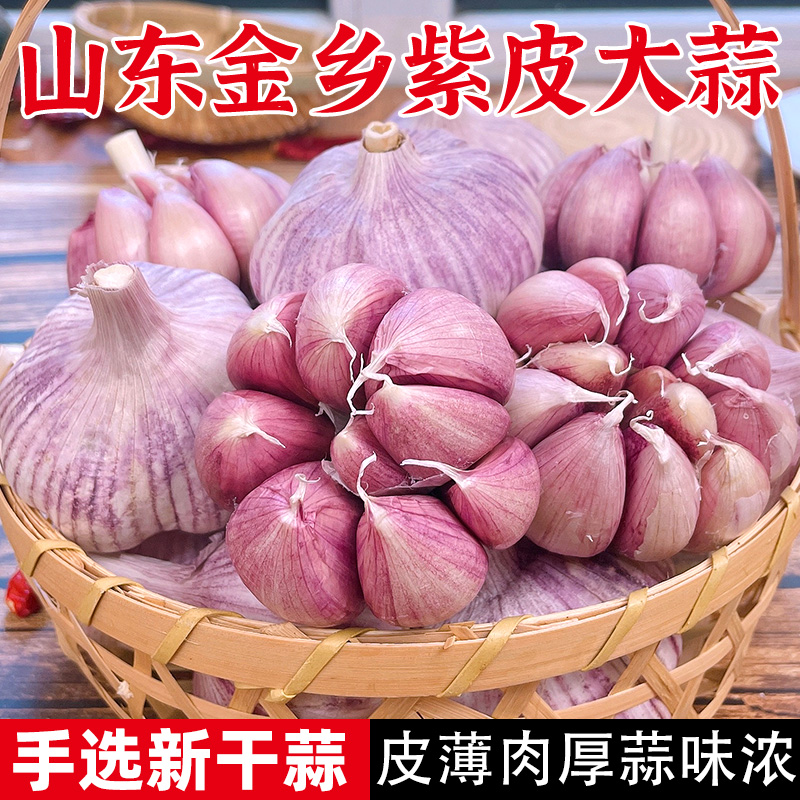 山东金乡紫皮大蒜头干蒜5斤批发20