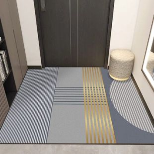 高级感入门户地垫2023新款可擦洗入室门门厅入户地毯高端耐脏免洗