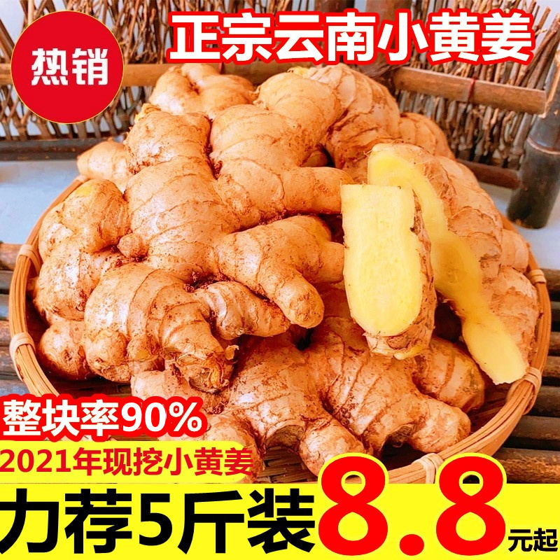 云南小黄姜月子现挖新鲜蔬菜10沙姜