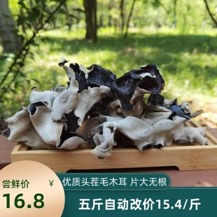 白背木耳头茬毛木耳肉厚非野生优质脆木耳黑木耳干货500g包邮商用