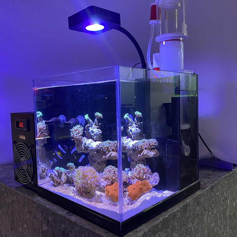 30背滤缸海水鱼缸小型珊瑚缸超白缸背滤成品缸全套新手下海包邮